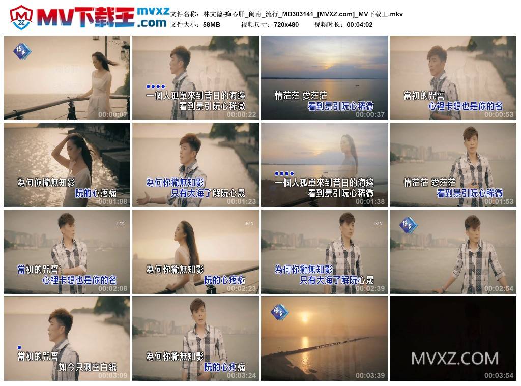 林文德-痴心肝_闽南_流行_MD303141